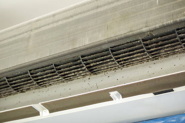 Best Home Air Vent Cleaning  in Westphalia, MD